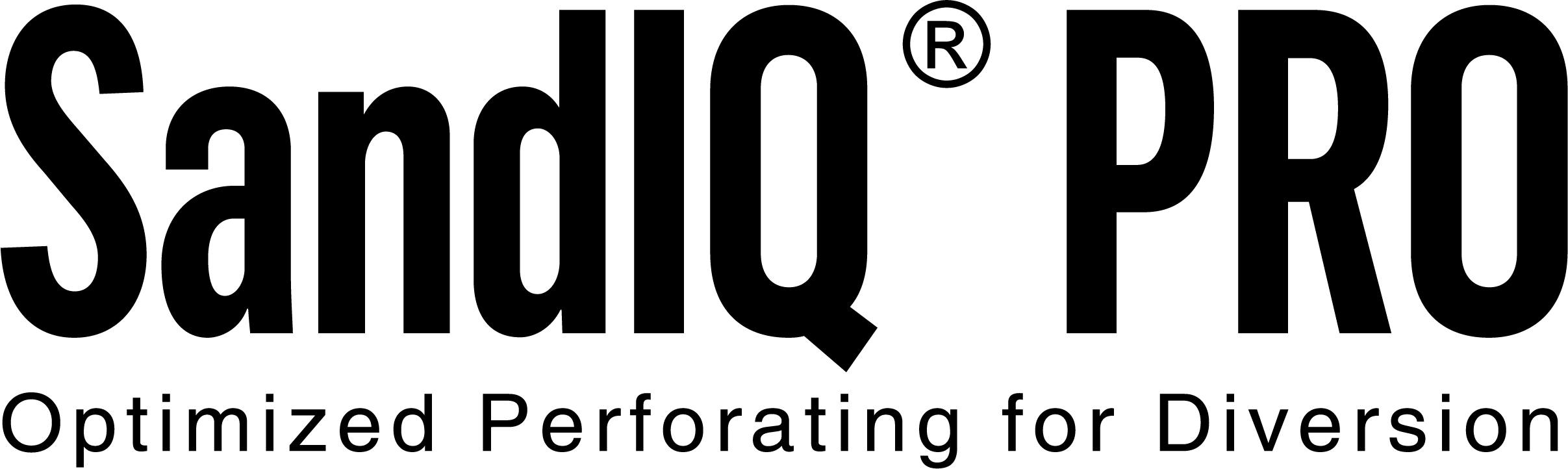 SandIQ Pro_Logo_Black
